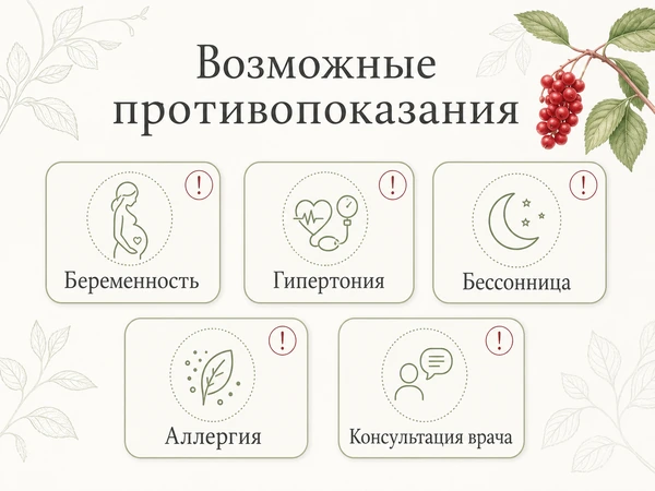 Возможные противопоказания лимонника китайского