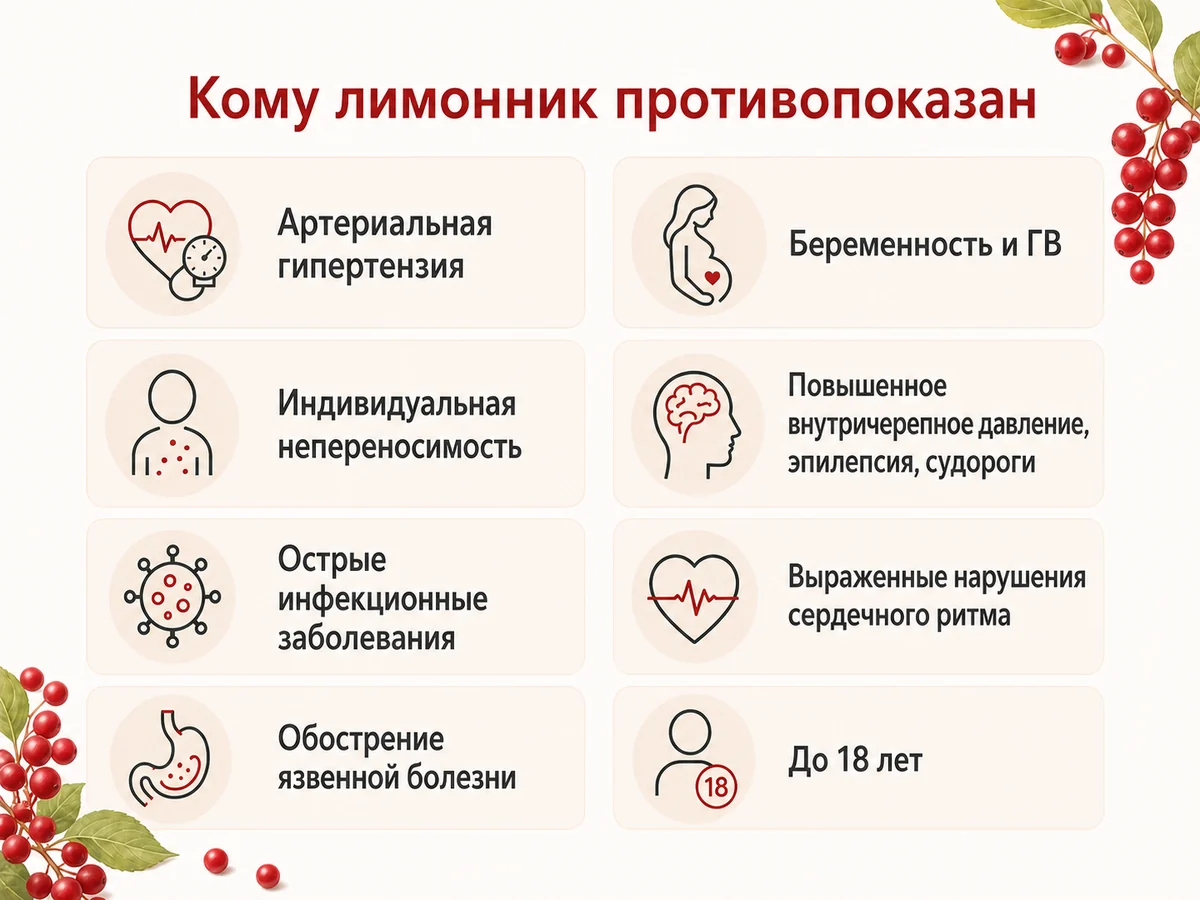 Противопоказания лимонника китайского — гипертония и другие ограничения